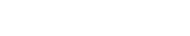 Newton Logo